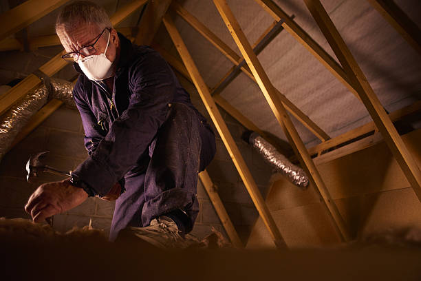 Best Specialty Insulation in Dunn, NC